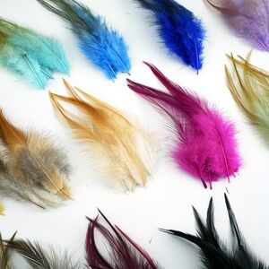 NIP 100pcs Pointed Chicken Feathers Colorful DIY Dream Catcher Craft Jewelry New